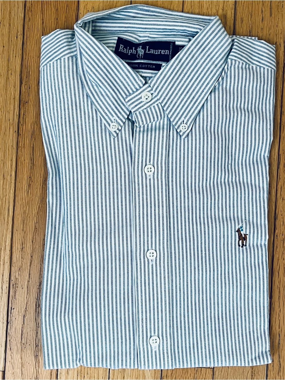 NEW Ralph Lauren Blue & White Striped Button Down Oxford Flesh Pony 15x35
